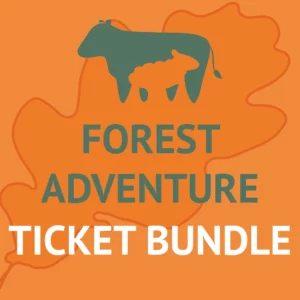 Adventure Bundle Graphic