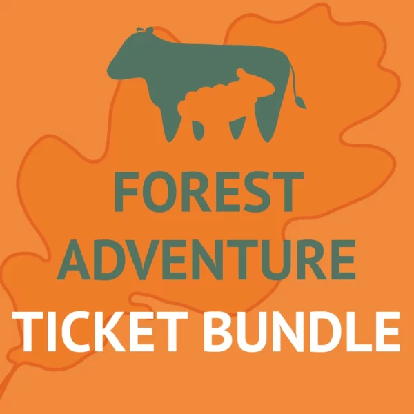 Adventure Bundle Graphic